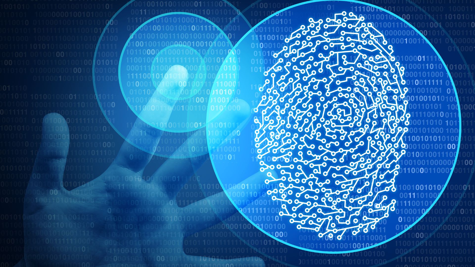 Digital Identity